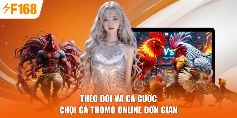 Theo dõi và cá cược chọi gà Thomo online đơn giản